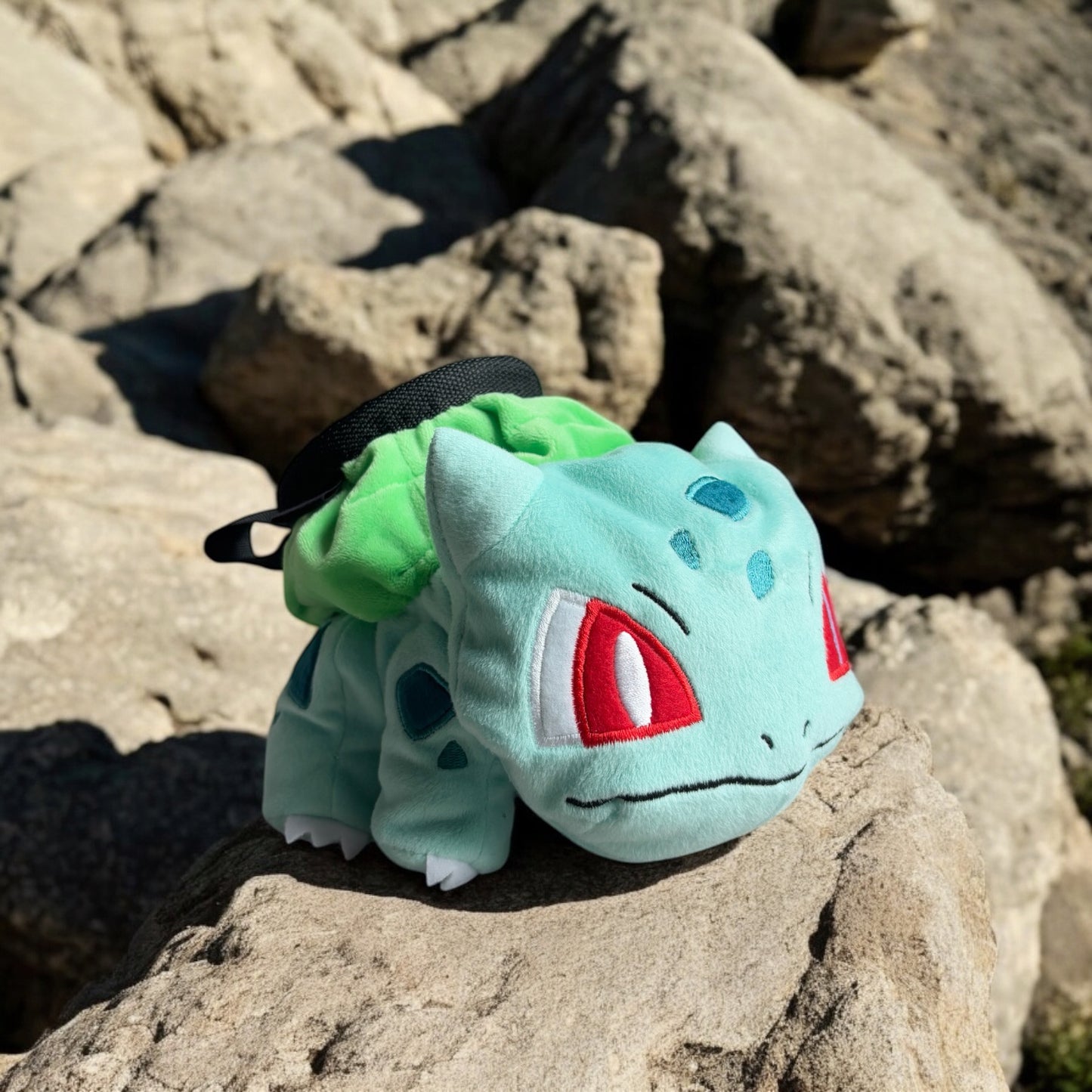 Bulbasaur Chalk Bag