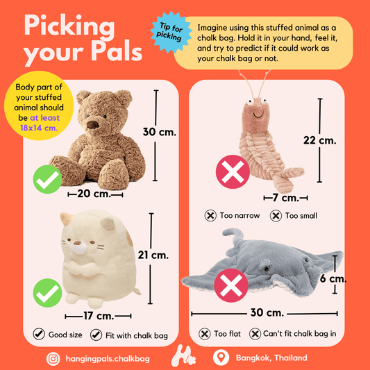 Create Your Own Pal!