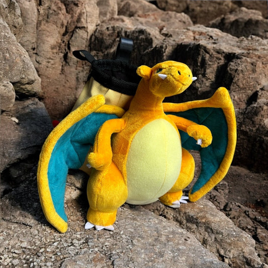 Charizard chalk bag